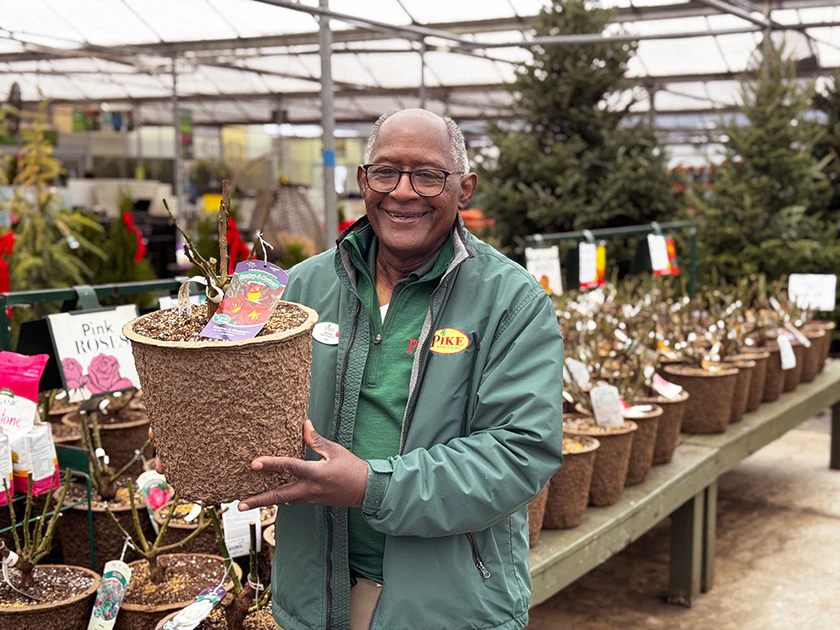 Bring Your Dream Garden Home